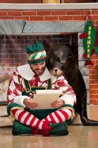 SeaWorld Orlando Christmas Story teller